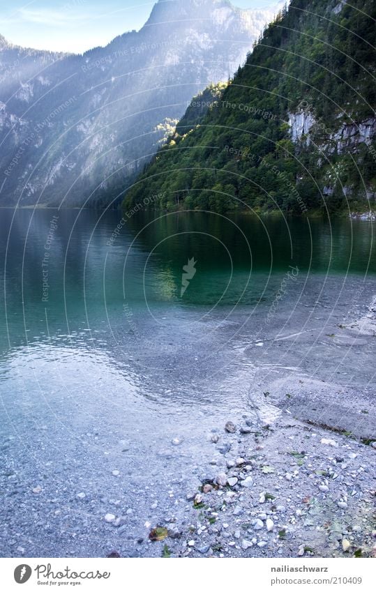 Königssee Environment Nature Landscape Water Summer Alps Mountain Lakeside Lake Königssee Blue Gray Green Colour photo Exterior shot Deserted Day Light Sunlight