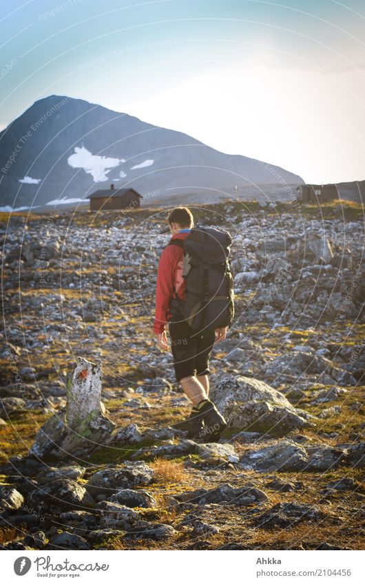 Goal in sight Calm Vacation & Travel Mountain Hiking Young man Youth (Young adults) Landscape Climate Rock Norway Troms Hut Stone Signs and labeling Walking