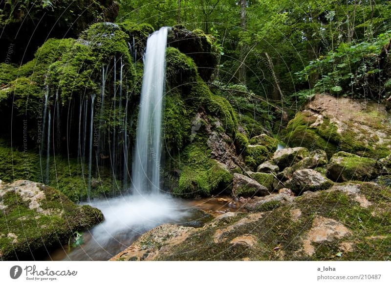 nature 1.1 Water Drops of water Plant Tree Grass Moss Forest Rock Alps Mountain River Waterfall Line Stripe Movement Glittering Growth Fluid Cold Natural Clean