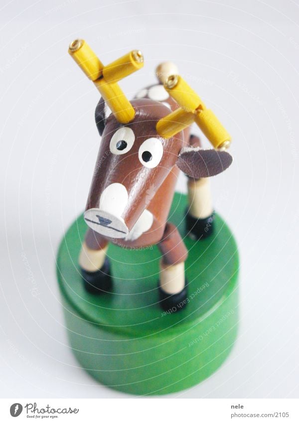 Stag Heinrich 01 Deer Wood Toys Animal Antlers Brown Curiosity Playing Yellow Green Stand Leisure and hobbies Reindeer Above Looking