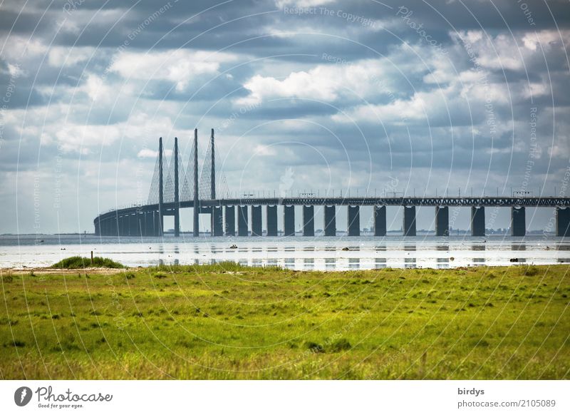 Öresund bridge near Malmö Clouds Summer Meadow Coast Baltic Sea Sweden Bridge Tourist Attraction Oeresund bridge Transport Traffic infrastructure Esthetic