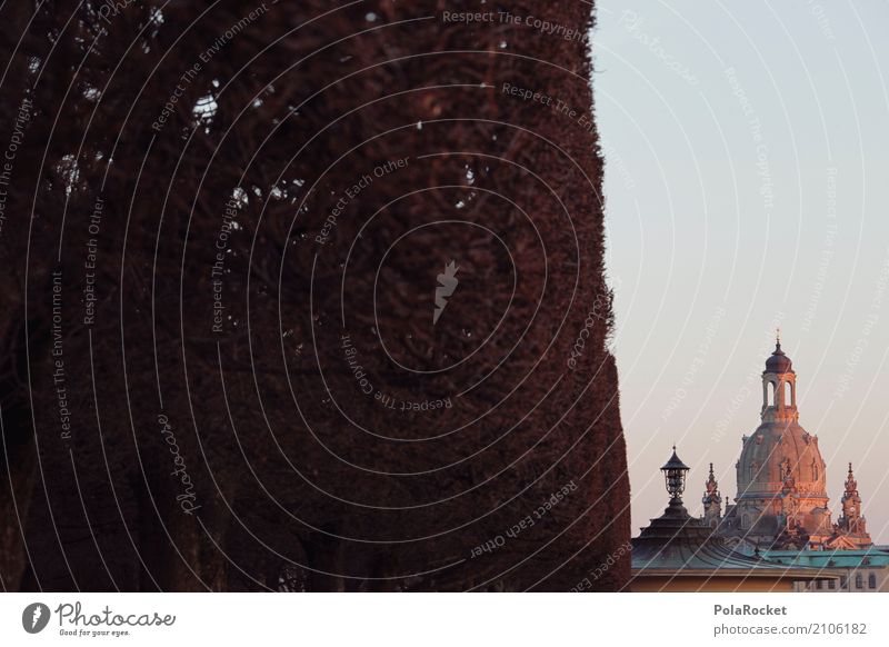 #A# Dresden cut Art Esthetic Frauenkirche Domed roof Landmark Tourist Attraction City trip Tourism Saxony Germany Hedge Silhouette Old town Baroque