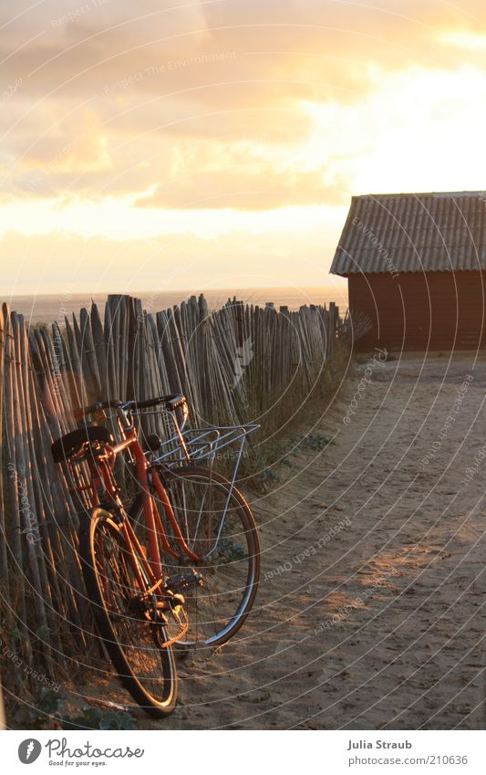 Way to the beach in the evening light with red bike at the wooden fence Far-off places Freedom Cycling tour Summer Summer vacation Sun Beach France Bicycle Sand