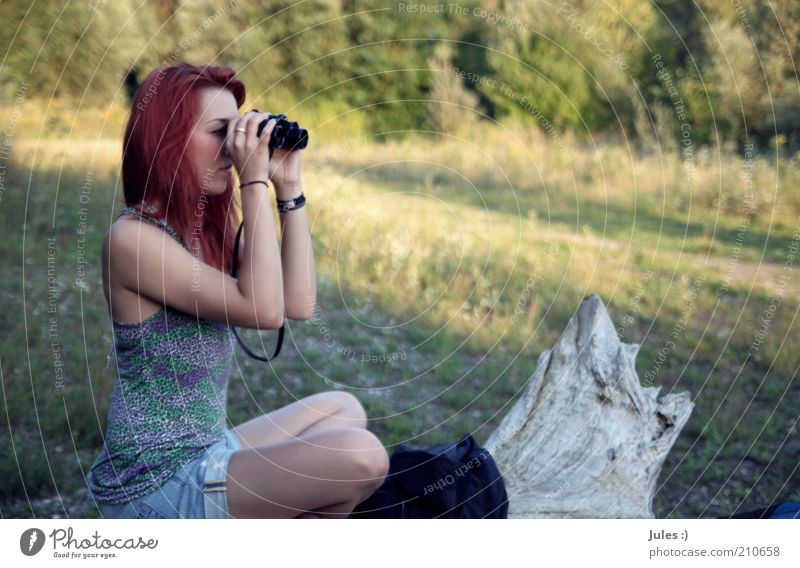 Worldview. The 2nd Feminine 1 Human being Nature Red-haired Long-haired Binoculars Observe Think Relaxation Crouch Optimism Tree trunk Top Interest Concentrate