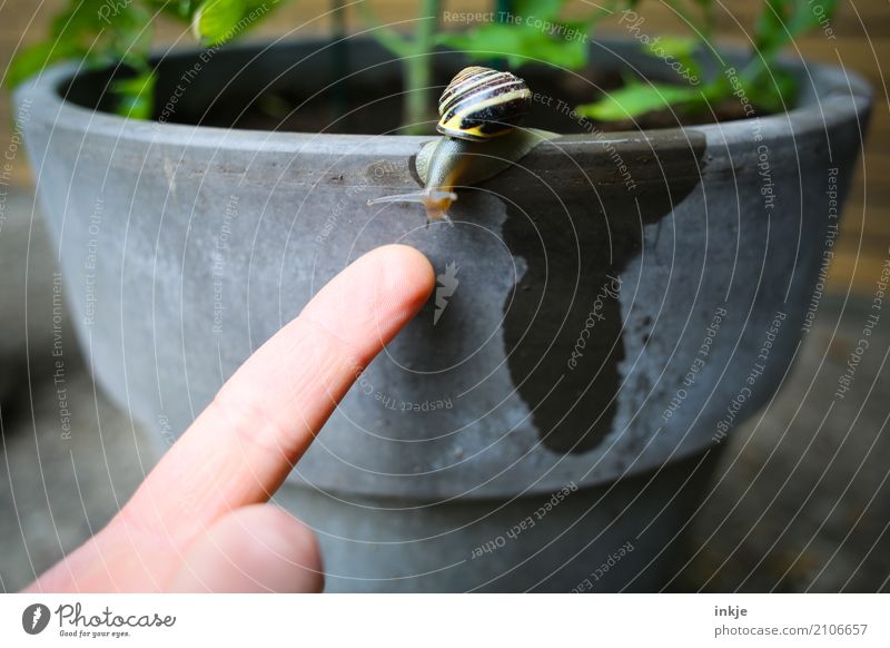 Snail and finger and stain Fingers 1 Animal Touch Discover Small Near Curiosity Emotions Love of animals Attentive Interest Relationship Considerate Communicate