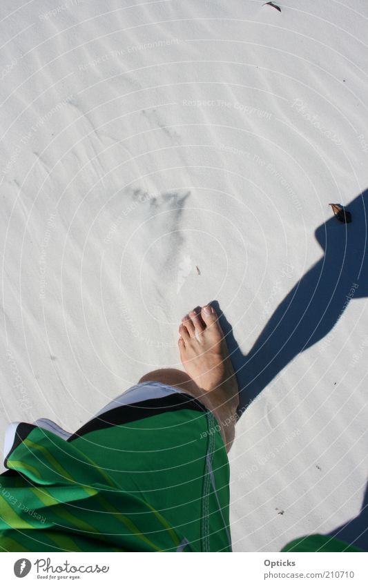 Whitehaven Beach Human being Masculine Legs Feet 1 Nature Elements Sand Summer Desert Going Walking Hiking Esthetic Happy Infinity Hot Thin