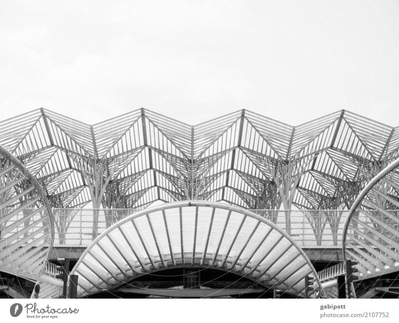 Lisbon Capital city Skyline House (Residential Structure) Manmade structures Building Architecture Town Structures and shapes Line Black & white photo