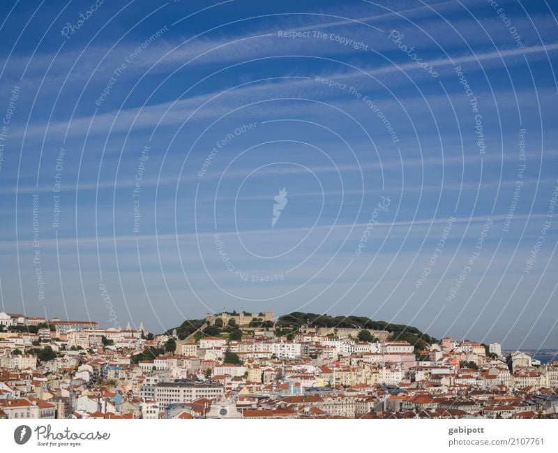 Lisbon Summer Beautiful weather Portugal Town Capital city Downtown House (Residential Structure) Vacation & Travel Horizon Perspective Growth