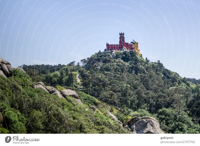 Palácio da Pena Relaxation Calm Leisure and hobbies Vacation & Travel Tourism Trip Adventure Sightseeing City trip Summer Mountain Hiking Dream house