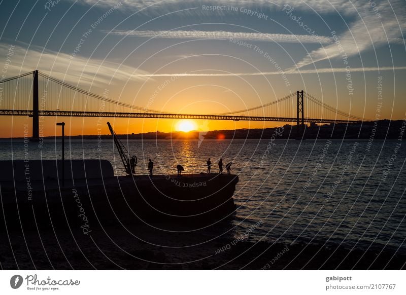 Have a nice bridging day! Summer Summer vacation Beach Ocean Life Group Landscape Sky Clouds Horizon Sunrise Sunset Sunlight Beautiful weather Lisbon Town