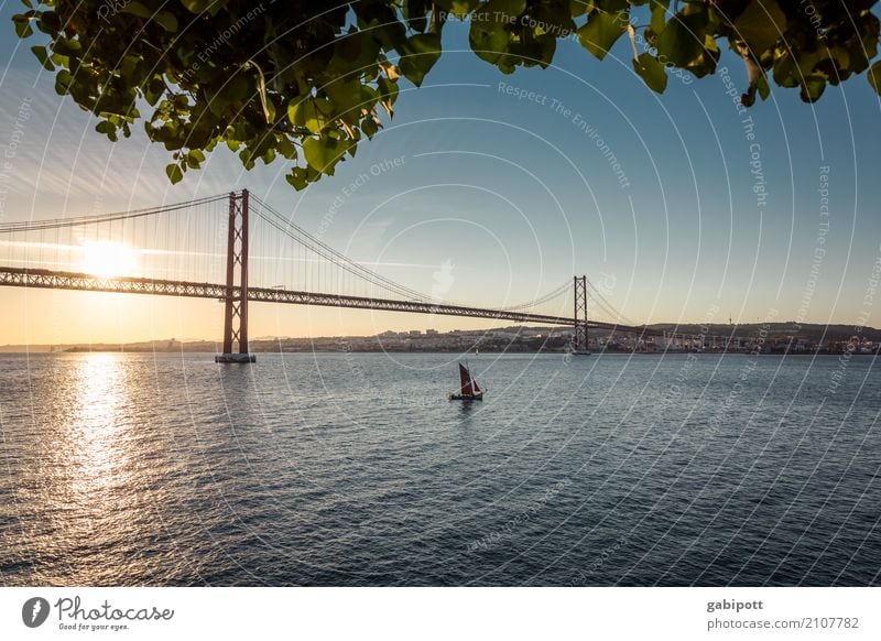 At the river Water Sky Climate Beautiful weather River bank Tejo Tejo Bridge Lisbon Portugal Manmade structures Tourist Attraction Landmark Warmth Colour