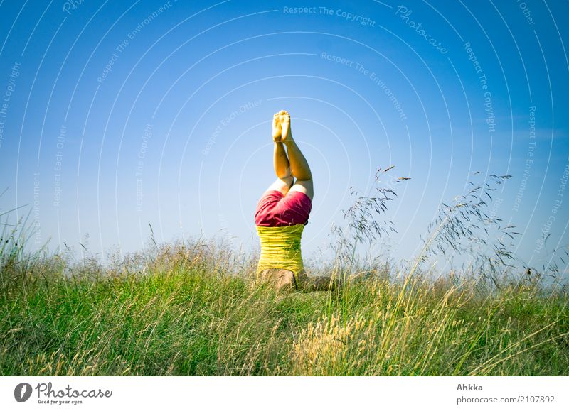 Summer fun II Joy Healthy Life Well-being Relaxation Meditation Young woman Youth (Young adults) 1 Human being Nature Cloudless sky Beautiful weather Grass