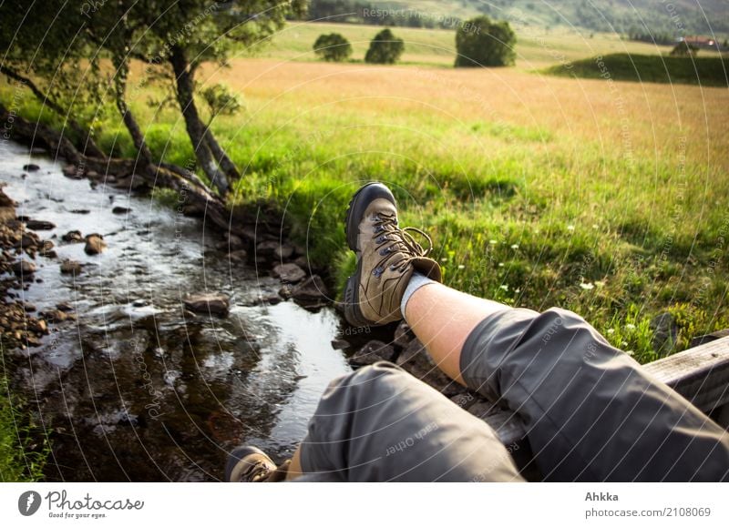 Legs dangling over a river in summer landscape Feet 1 Human being Environment Landscape Water Grass Park Meadow Brook Bridge Playing Jump Happiness