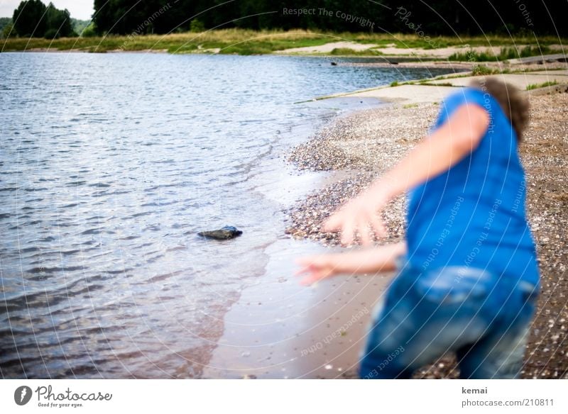 rock Human being Masculine Back Bottom 1 Environment Nature Landscape Water Sunlight Summer Beautiful weather Grass Coast River bank Rhine Throw Blue Pebble