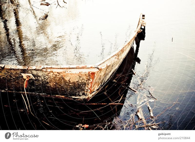 Flooding Environment Nature Elements Water Lakeside River bank Stagnating Decline Past Transience Watercraft Go under Deluge Subdued colour Exterior shot