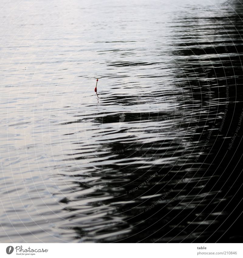 waiting. . . Leisure and hobbies Fishing (Angle) Environment Nature Water Lake Dark Wet Calm Colour photo Exterior shot Deserted Copy Space left