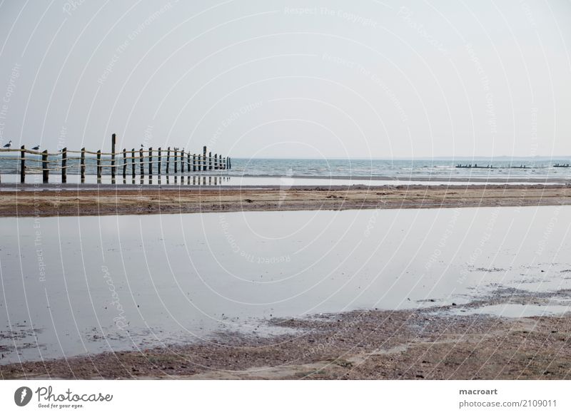 Sandy beach with wooden fence stand Low tide High tide Lake Baltic Sea North Sea Nature reserve Fence Wooden fence Water Body of water Ocean Clouds Gray Sky