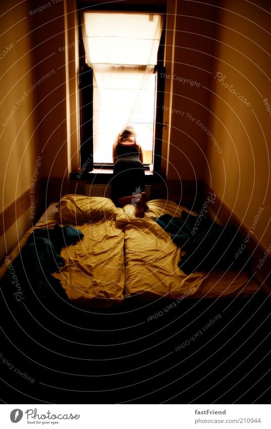 beautiful views Flat (apartment) Bed Room Human being 1 Window Relaxation Looking Sit Brown Gold Patient Calm Longing Indifferent Colour photo Subdued colour