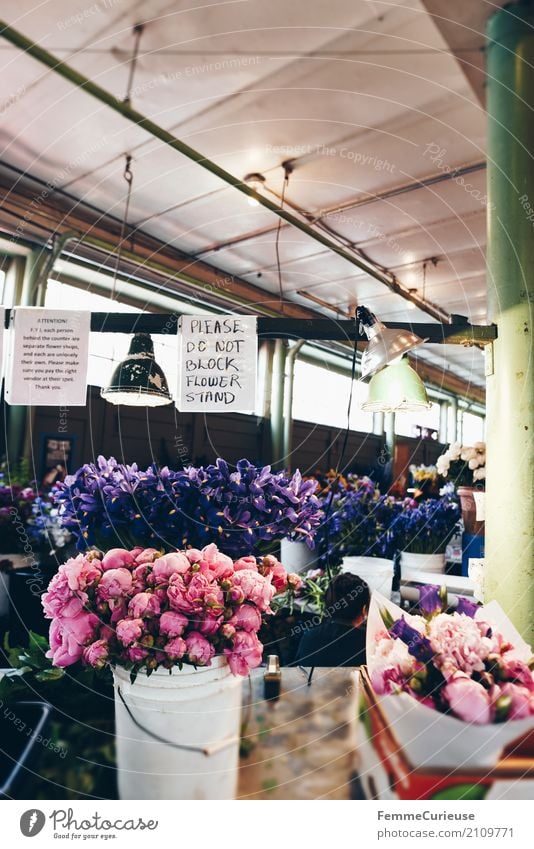 Roadtrip West Coast USA (259) Plant Fragrance Covered market Market day Seattle Peony Bucket Bouquet Signage Ceiling Hanging lamp Colour photo Interior shot Day