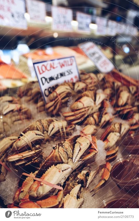 Roadtrip West Coast USA (244) Food Fish Seafood Nutrition To enjoy Shrimp Fish market Covered market Market day Price tag US Dollar English Colour photo