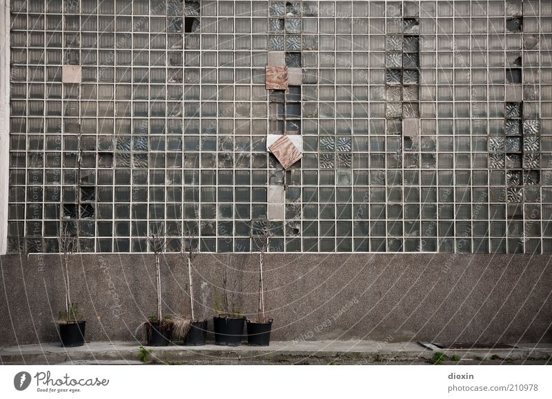 red potted plants Plant Pot plant Manmade structures Building Architecture Facade Glass block Old Decline Derelict Putrefy Exterior shot Deserted