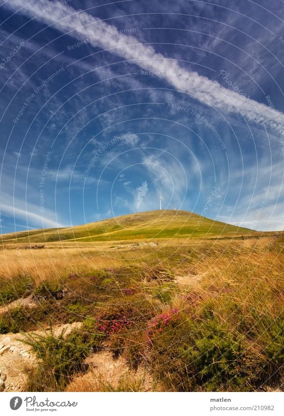 pour l'amour du ciel Wind energy plant Landscape Earth Sky Summer Beautiful weather Grass Hill Mountain Blue Brown Green White Loneliness Far-off places