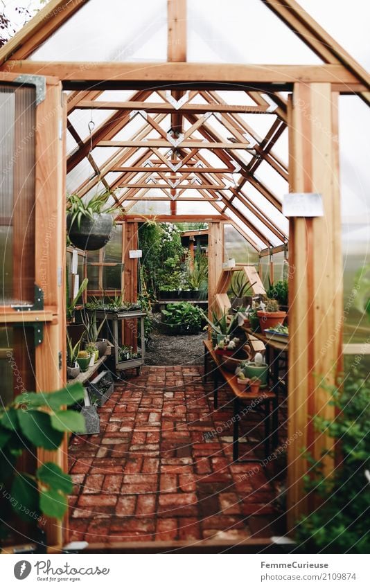 Roadtrip West Coast USA (162) Nature Shopping Greenhouse Gardening Plant hanging lights Cactus Discover Search Stone floor wooden frames Wood Bright Decoration