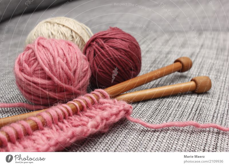 The knitting kit is waiting II Leisure and hobbies Handcrafts Knit Relaxation Authentic Uniqueness Soft Pink Serene Calm Creativity Target Knitting needle Wool