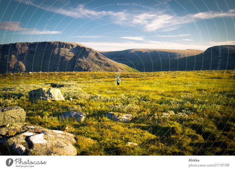 Evening atmosphere in Sarek, lonely person Harmonious Well-being Relaxation Vacation & Travel Adventure Far-off places Freedom Mountain Hiking 1 Human being