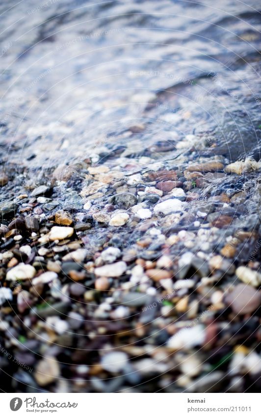 Stones (to jump on) Environment Nature Water Sunlight Summer Beautiful weather Coast River bank Brook Rhine Stony Pebble Wet Colour photo Subdued colour