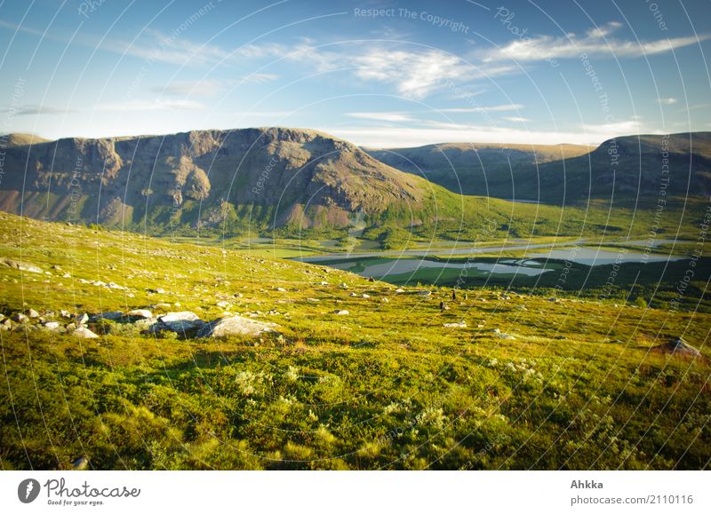 River valley in Sarek, Rappadalen, Sweden Harmonious Relaxation Calm Meditation Nature Landscape Horizon Summer Bad weather Peak Canyon Bog Marsh Gigantic Green