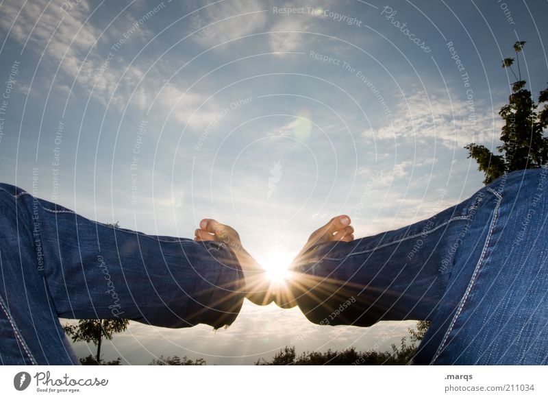 On foot to the sun Well-being Contentment Relaxation Calm Leisure and hobbies Freedom Sun Legs Feet Landscape Beautiful weather Tree To enjoy Lie Illuminate