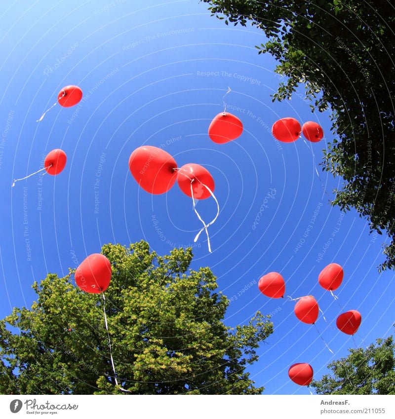 balloons Happy Summer Event Feasts & Celebrations Valentine's Day Heart Flying Free Red Together Love Infatuation Loyalty Romance Wedding anniversary Balloon