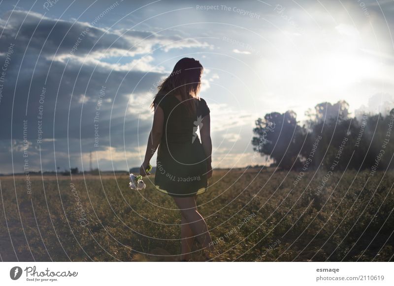 chica en el campo con atardecer Allergy Woman Adults Nature Landscape Cloudless sky Flower Rose Garden Diet Natural Happiness Acceptance Safety (feeling of)