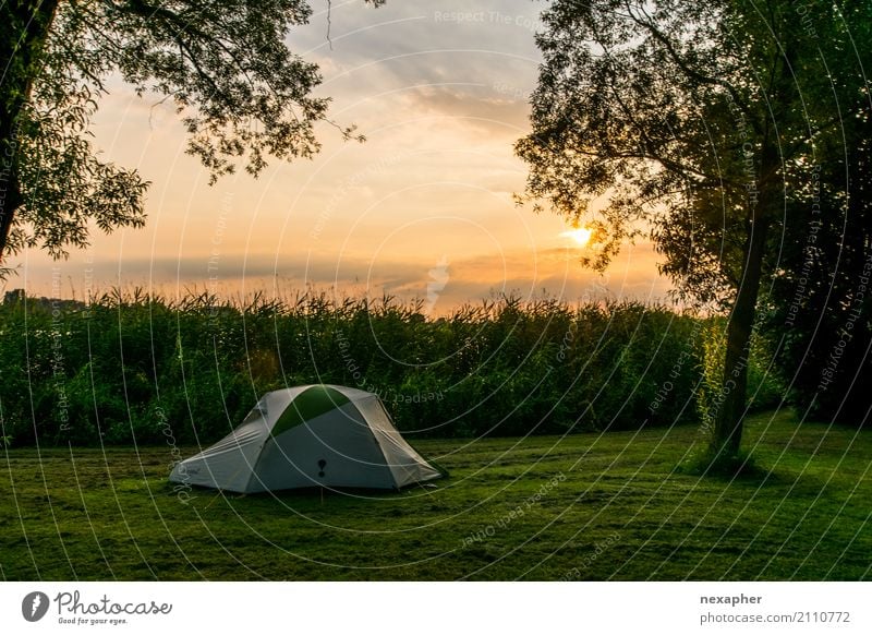 Sunset tent Lifestyle Joy Vacation & Travel Adventure Freedom Camping Summer Summer vacation Environment Nature Landscape Sky Sunrise Plant Tree Foliage plant