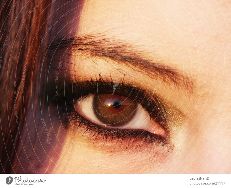 The look. Wearing makeup Make-up Brown Eyelash Woman Eyes Close-up Colour l sharp Hair and hairstyles Looking