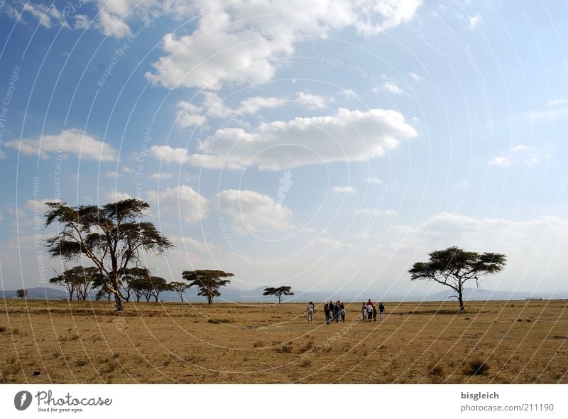 vastness Far-off places Freedom Safari Hiking Human being Group Sky Clouds Tree Steppe Going Calm Crescent Iceland Kenya Africa Colour photo Exterior shot