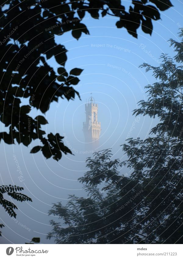 Campanile Siena Vacation & Travel Tourism Trip Far-off places Sightseeing City trip Old town Skyline Church Dome Tower Manmade structures Building Architecture