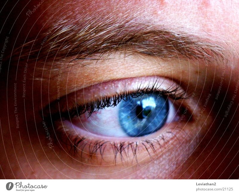 Just watchin' ... Close-up Reflection Human being Eyes Blue Colour Macro (Extreme close-up) Concentrate Rainbow Pupil Eye colour Eyelash Eyebrow Vision Gaze