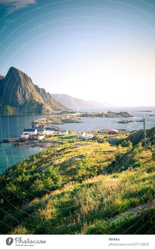 Lofoten, island dream Vacation & Travel Adventure Nature Landscape Grass Peak Coast Ocean Island Reine Travel photography Fishing village