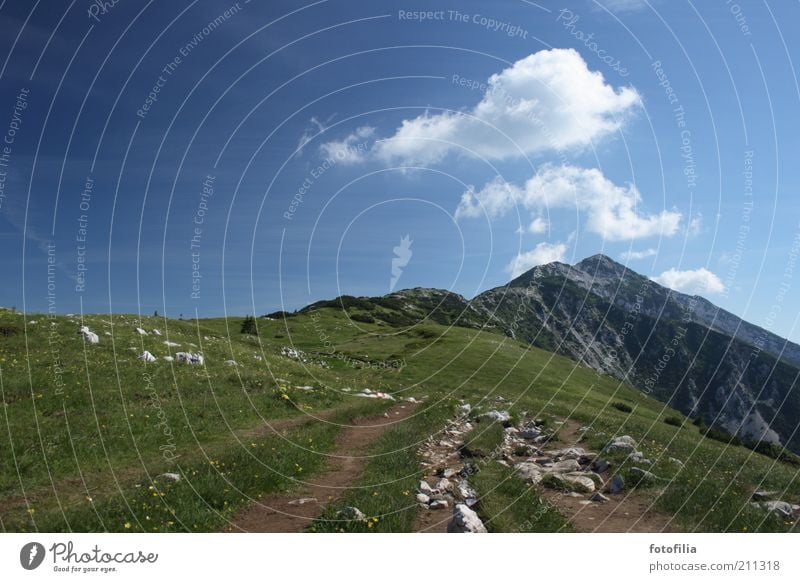 Let's do it! Nature Landscape Plant Sky Clouds Summer Beautiful weather Grass Rock Alps Mountain Peak Mountain meadow Lake Garda monte baldo Movement Esthetic