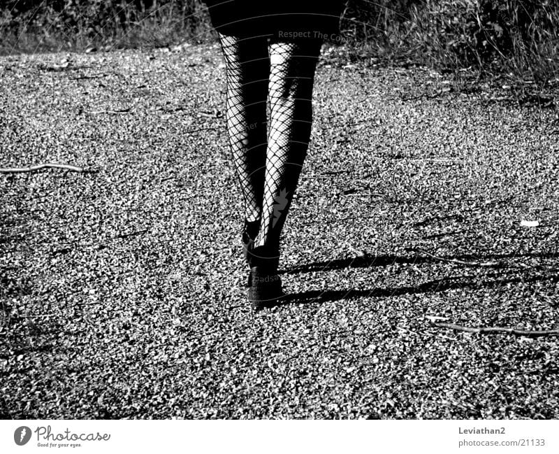 On her way home ... Woman Tights Fishnet tights Hollow Footwear Gravel Gravel path Legs Shadow Walking Lanes & trails Landing