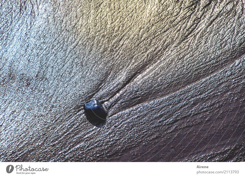 A stone Beach Sandy beach Elements Water Tide Low tide Stone To hold on Firm Fluid Glittering Maritime Strong Multicoloured Gray Black Loneliness Uniqueness