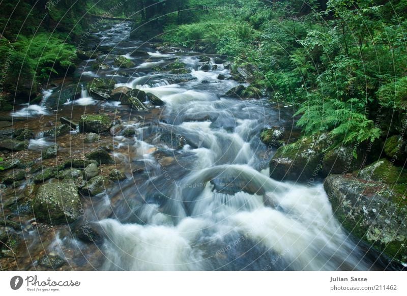 course of a brook Environment Nature Landscape Plant Elements Earth Water Brook River Esthetic Soft Czech Republic Giant Mountains Green Exterior shot Forest