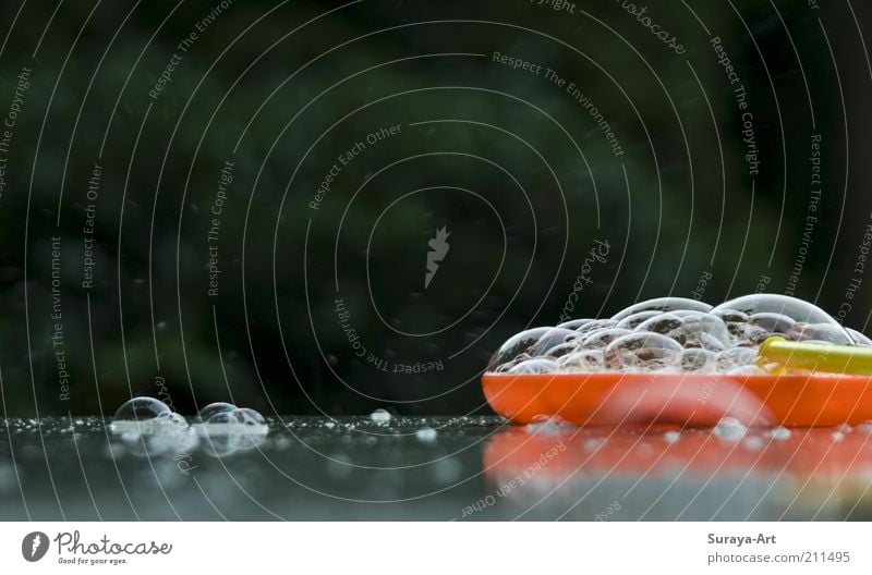 bubbles Bowl Plastic Wet Soap bubble Summer's day Multicoloured Exterior shot Experimental Day Soap dish