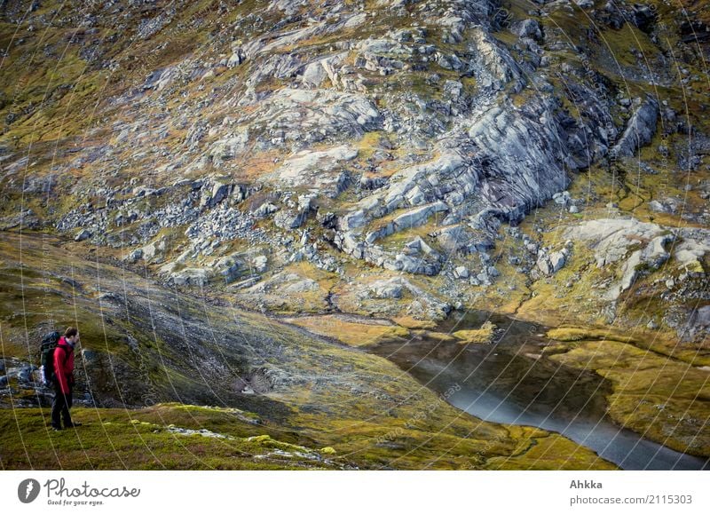 Fascination of the North Adventure Far-off places Expedition Landscape Elements Autumn Climate Rock Canyon Bog Marsh Norway Observe Think Discover Authentic