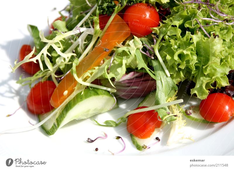 salad Food Vegetable Nutrition Plate Healthy Fresh White Tomato Chicory served Cucumber Parsley Appetizer Raw vegetables Vitamin Vitamin-rich Crunchy radiccio