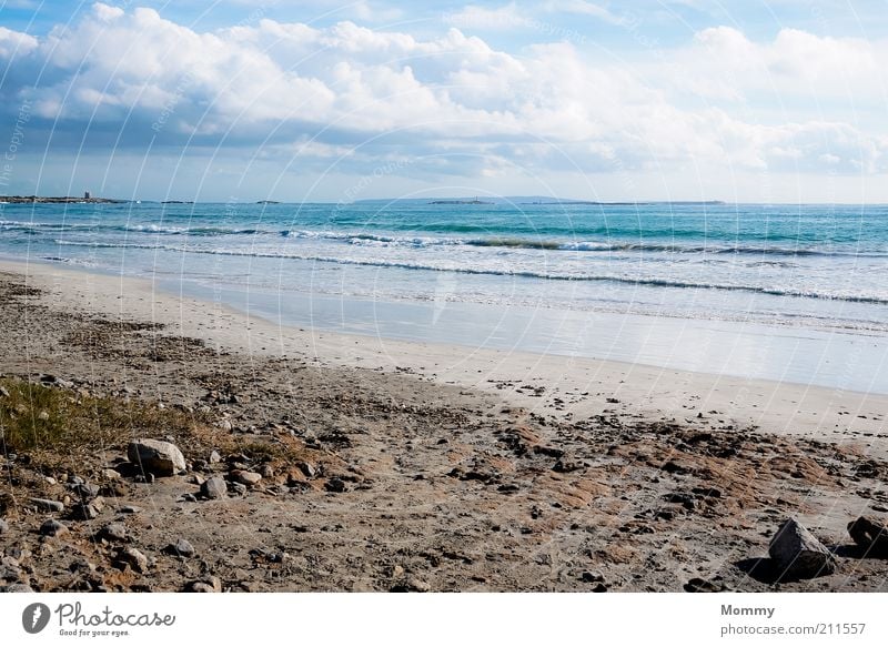 Day at the sea Sand Water Sky Clouds Sunlight Beautiful weather Waves Coast Beach Ocean Vacation & Travel Calm Colour photo Exterior shot Panorama (View)