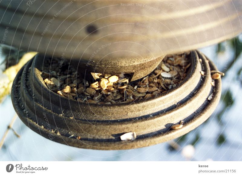 feeding place Birdhouse Oat flakes Sunflower seed Winter