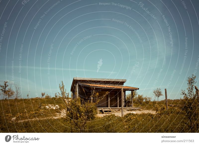 Uncle Tom's cabin. Deserted House (Residential Structure) Hut Terrace Blue Brown Green Colour photo Multicoloured Exterior shot Copy Space top Day Shadow